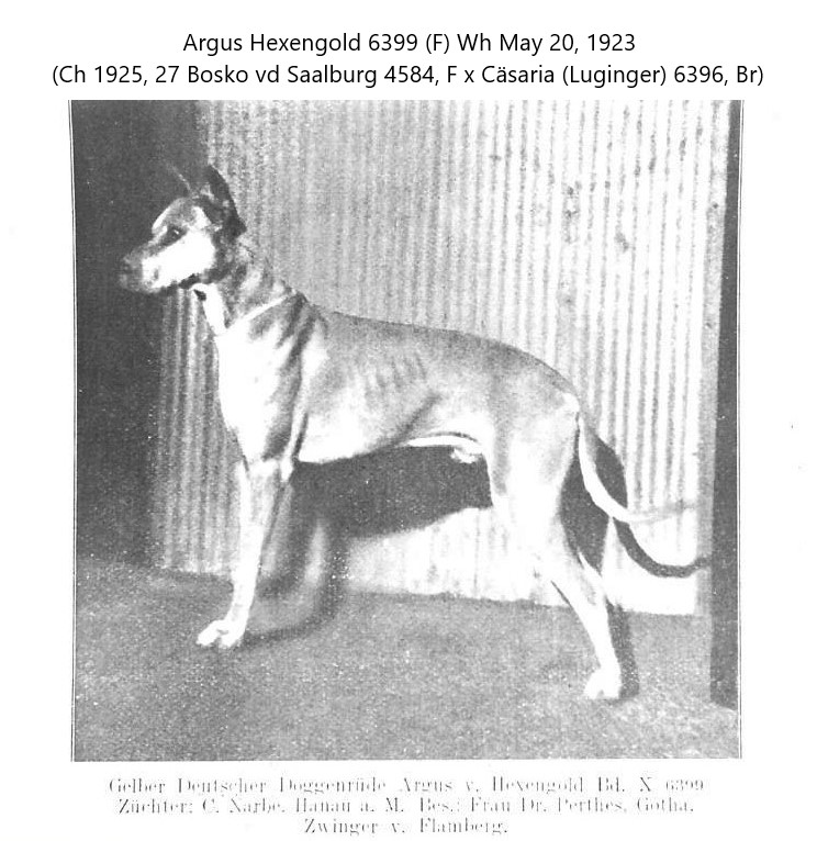 Argus v Hexengold